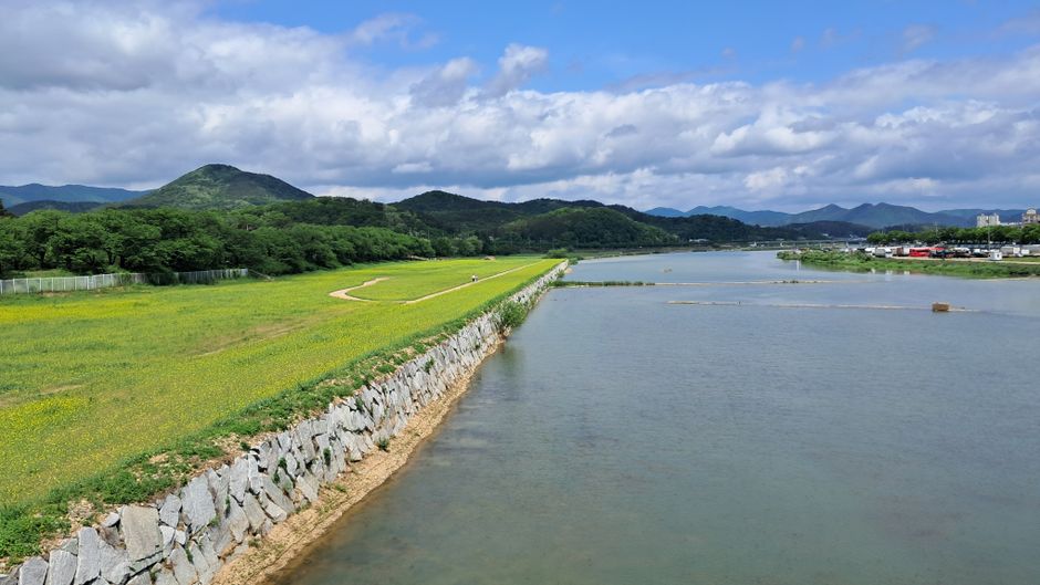 Forholdene ved Nord-Koreas grense: En Omfattende Analyse